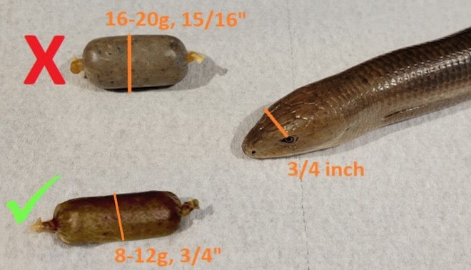 Identification of Obesity in Reptiles: An Essential Guide