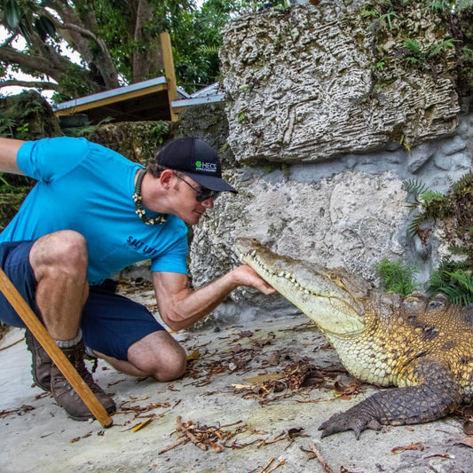 Training reptiles