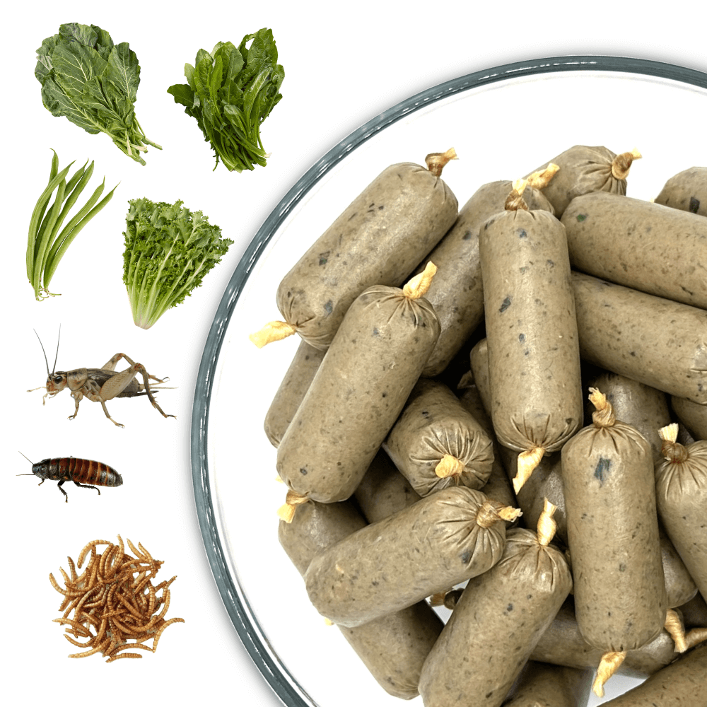 25 25 50 Omnivore blend Insects for Bearded Dragons Blue