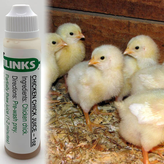 Chicken Chick Juice