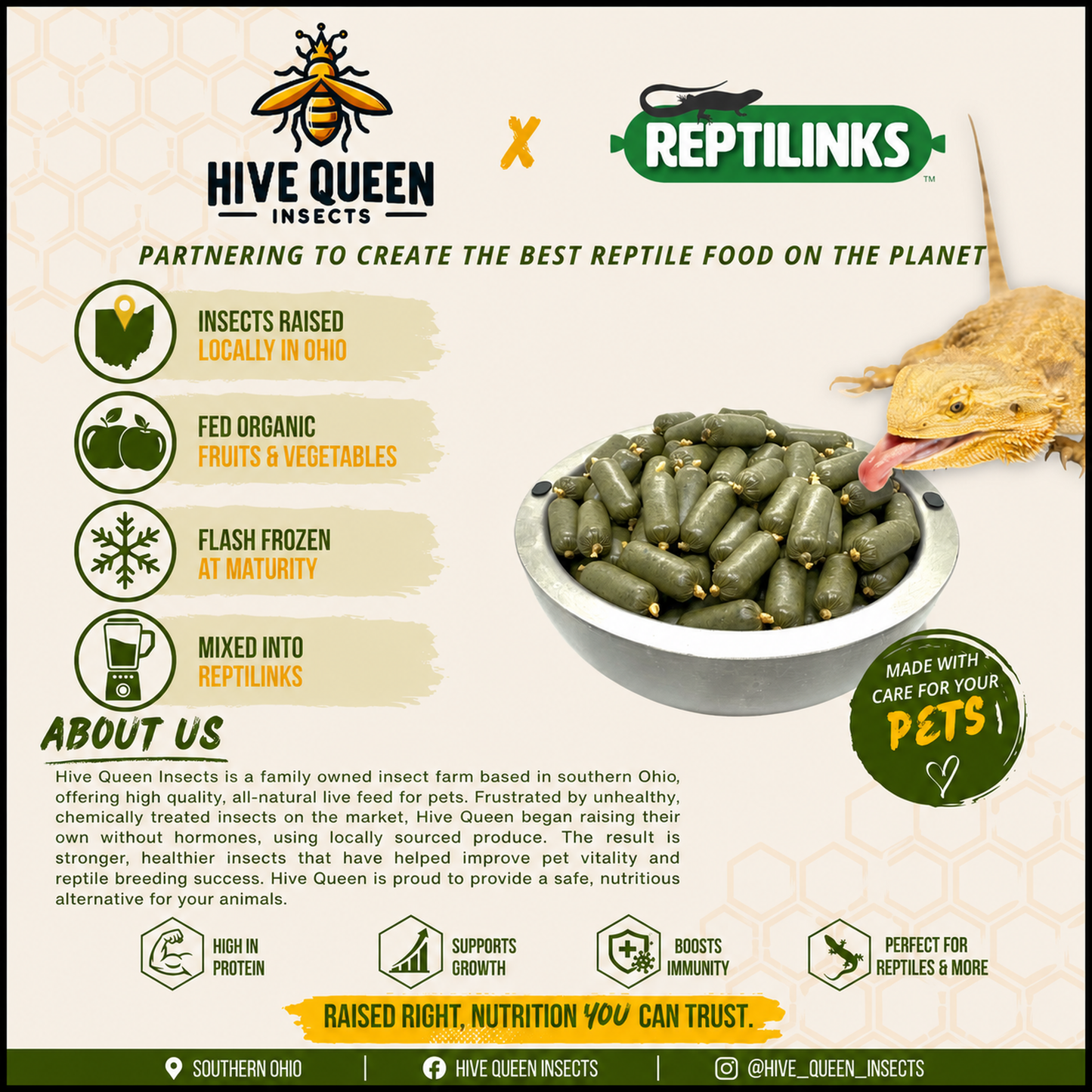 Super Salad Bug Blend (50% Insects, 50% Veggies) for Bearded Dragons and Blue Tongue Skinks
