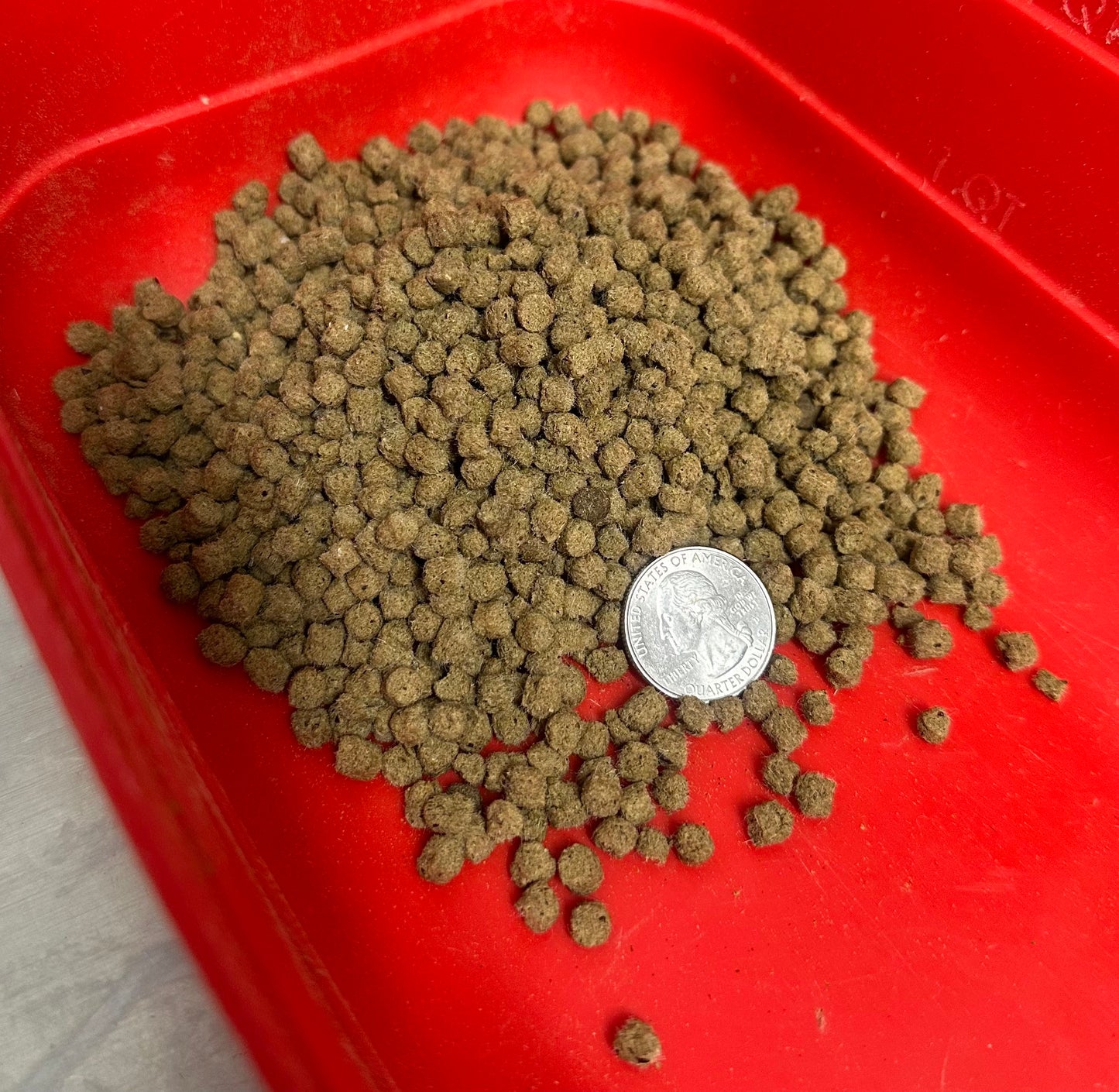 NEW! Dry Pellets - 25/25/50 Omnivore blend + Insects