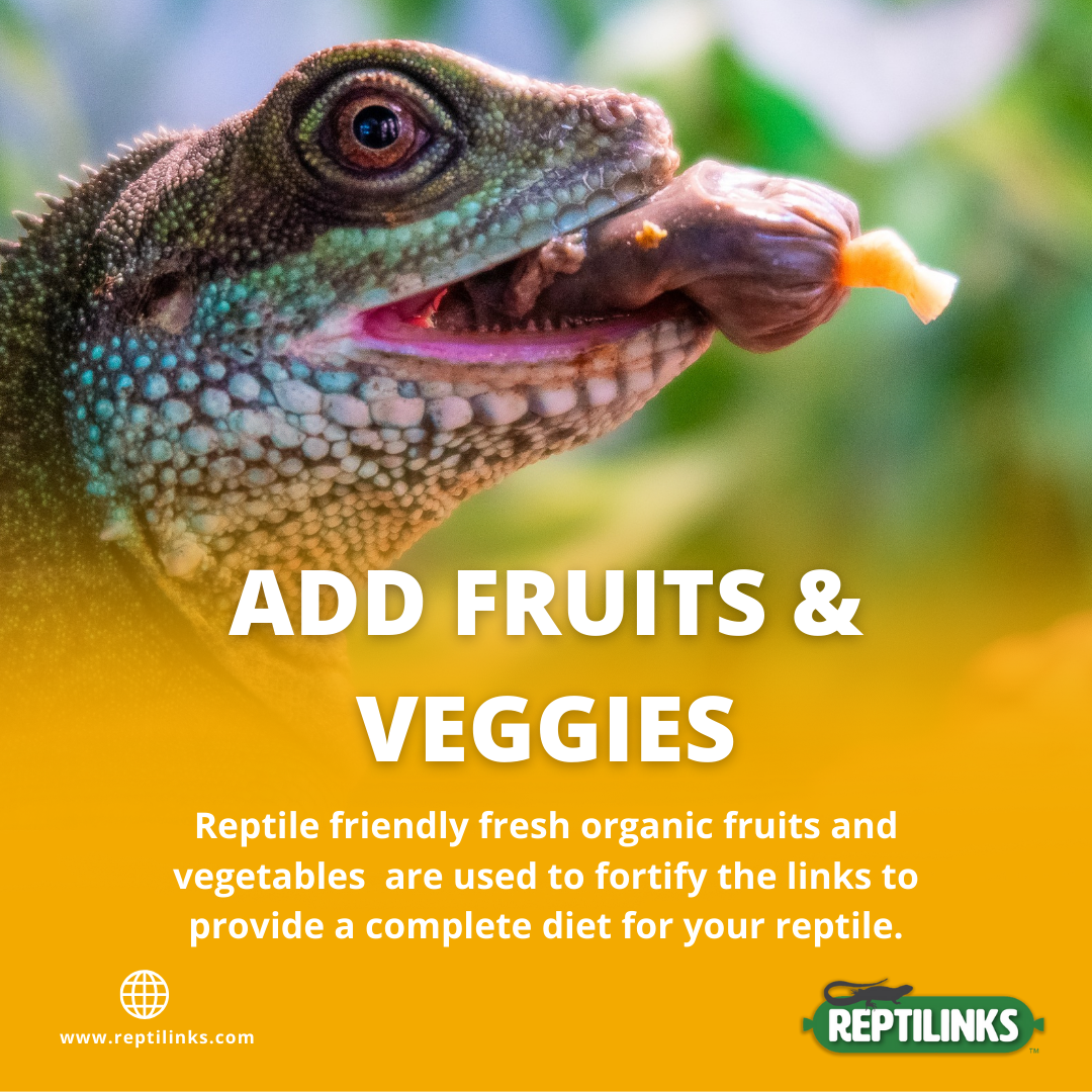 Insect & Rabbit + Fruits and Veggies – Reptilinks