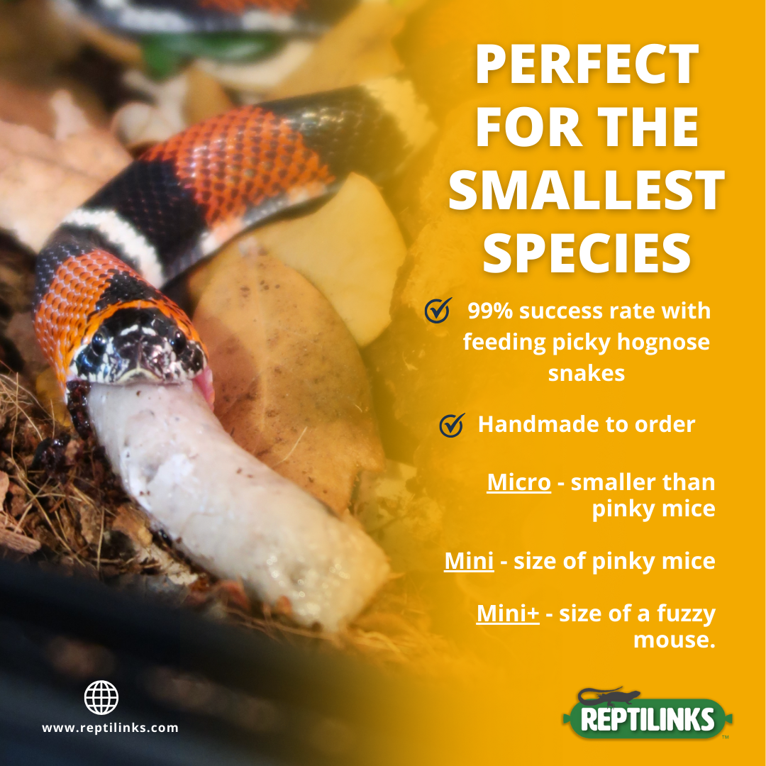 Frog Micro, Mini, and Mini+ Links – Reptilinks