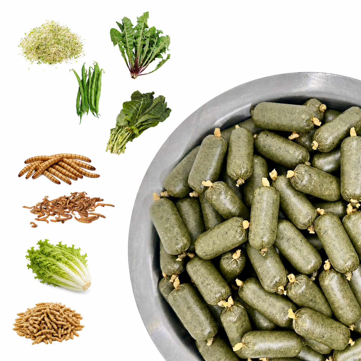 Super Salad Bug Blend (50% Insects, 50% Veggies) for Bearded Dragons and Blue Tongue Skinks