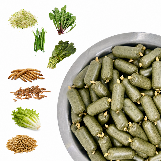 Super Salad Bug Blend (50% Insects, 50% Veggies) for Bearded Dragons and Blue Tongue Skinks