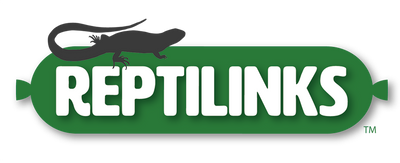 Kenyan Sand Boa Care and Feeding Information – Reptilinks