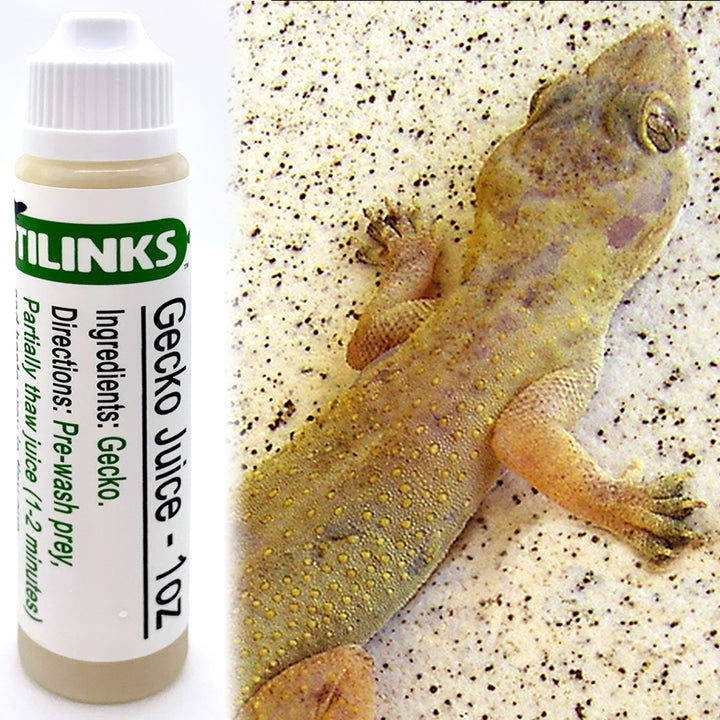Scenting – Reptilinks