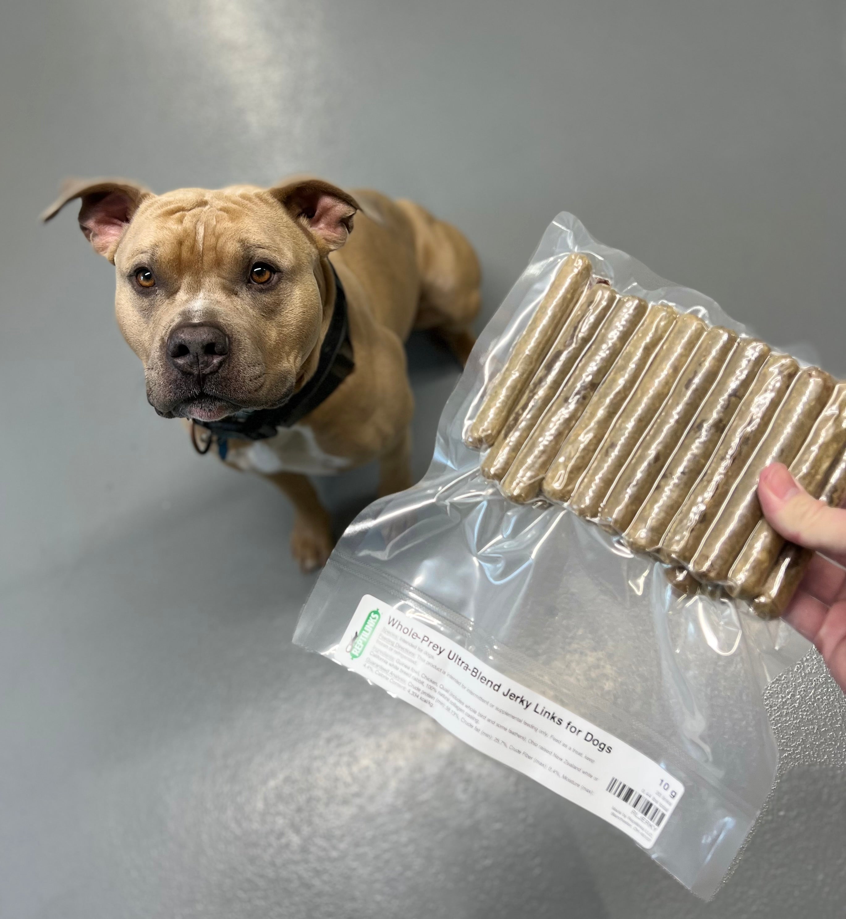 Whole Prey Ultra Blend Jerky Links for Dogs Reptilinks